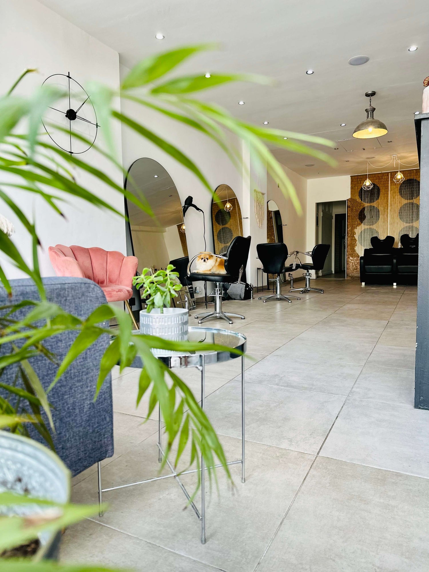 A modern salon with stylish decor, offering the Hair Extension Course by Image London. There are chairs positioned in front of mirrors, plants adding a touch of greenery, and a mix of contemporary lighting fixtures. The room is spacious with a clean, minimalist design, and neutral tones.